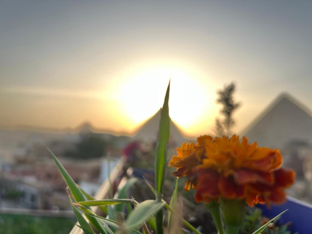 Pyramids Top Success Result Kafret el-Gabal Kültér fotó