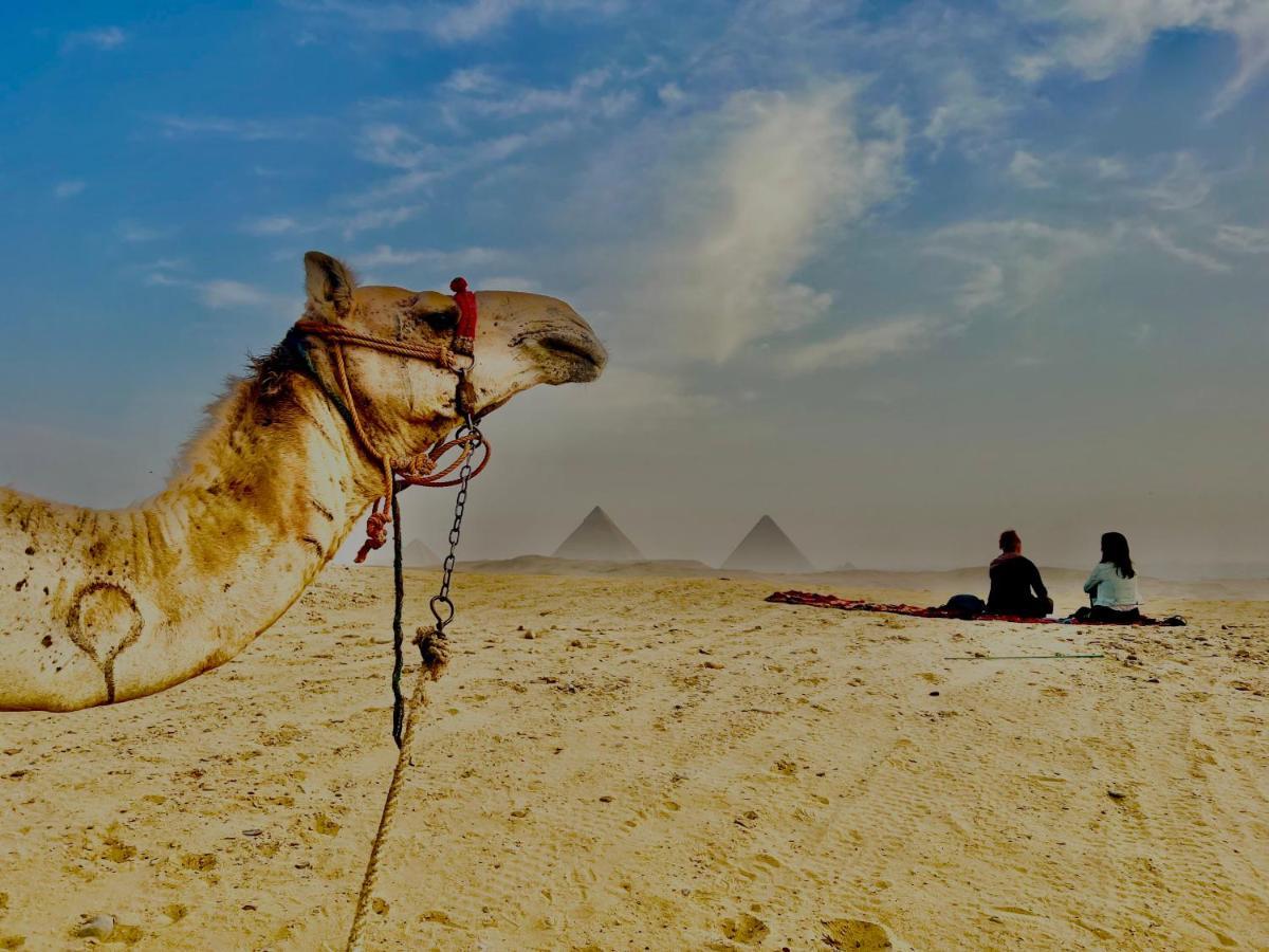 Pyramids Top Success Result Kairó Kültér fotó