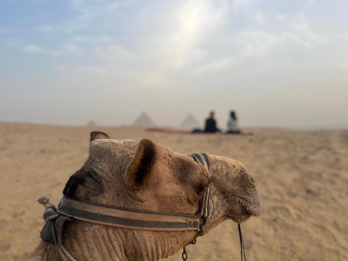 Pyramids Top Success Result Kafret el-Gabal Kültér fotó