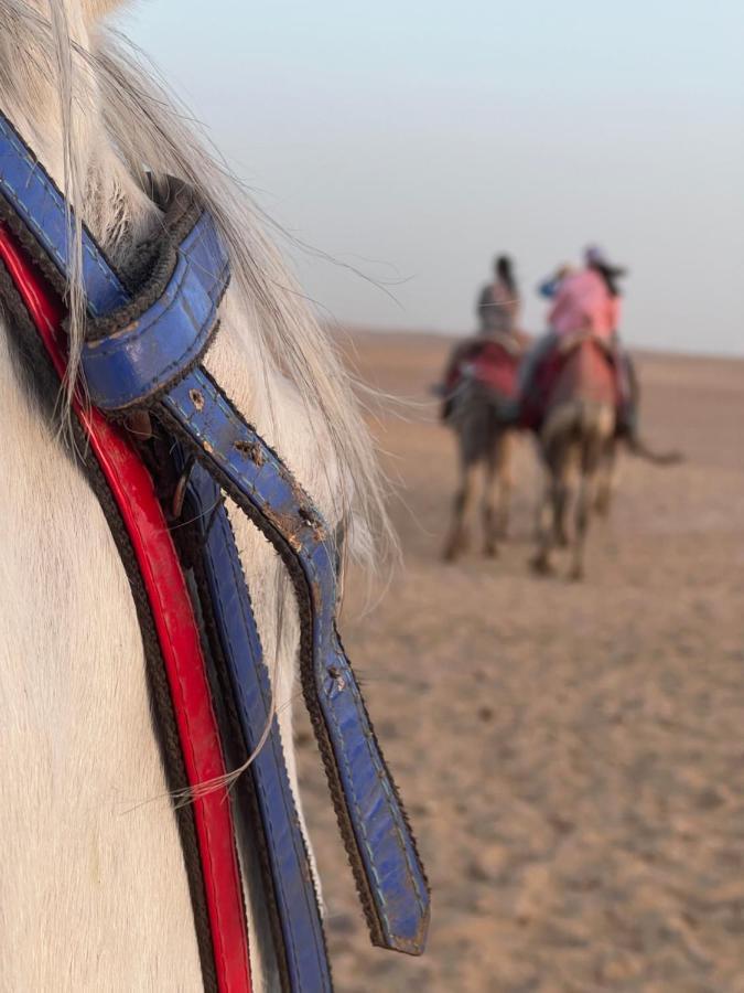 Pyramids Top Success Result Kafret el-Gabal Kültér fotó